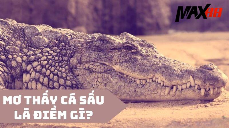Giải mã chiêm bao mơ thấy bắt được cá sấu
