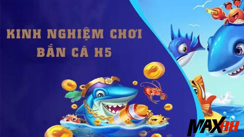 Chiến thuật chọn vũ khí phù hợp với từng loại cá