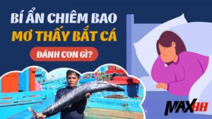 Giải Mã Giấc Mơ Bắt Được Cá Để Xác Định Số Lô Đề Tại Max88