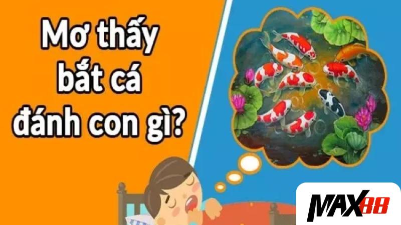 Giấc mơ bắt được cá liên quan đến con số lô may mắn