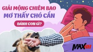 Giải Mã Giấc Mơ Bị Chó Cắn | Max88 Gợi Ý Con Số Trúng Lớn