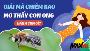 Max88 Giải Mã Giấc Mơ Bị Ong Đốt | Ý Nghĩa & Con Số May Mắn
