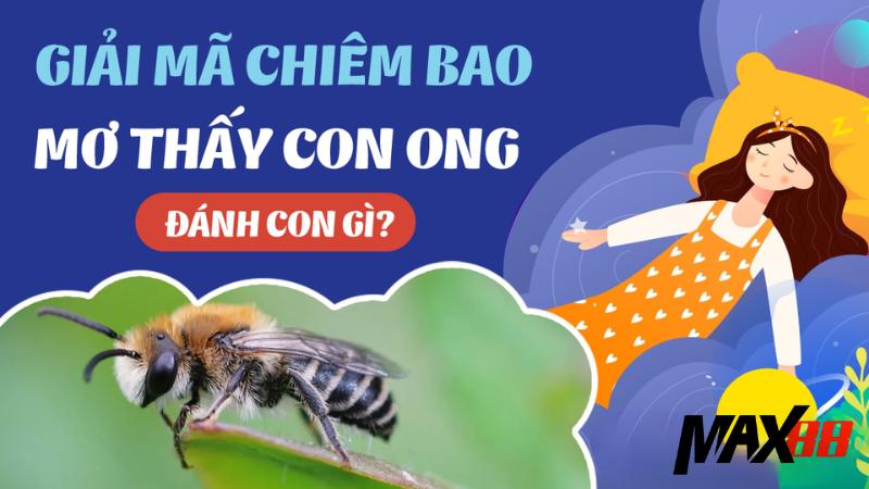 Max88 Giải Mã Giấc Mơ Bị Ong Đốt | Ý Nghĩa & Con Số May Mắn