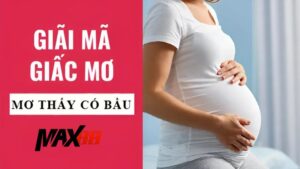 Nhà Cái Max88 Giải Mã Giấc Mơ Có Bầu Cho Dân Chơi Lô Đề