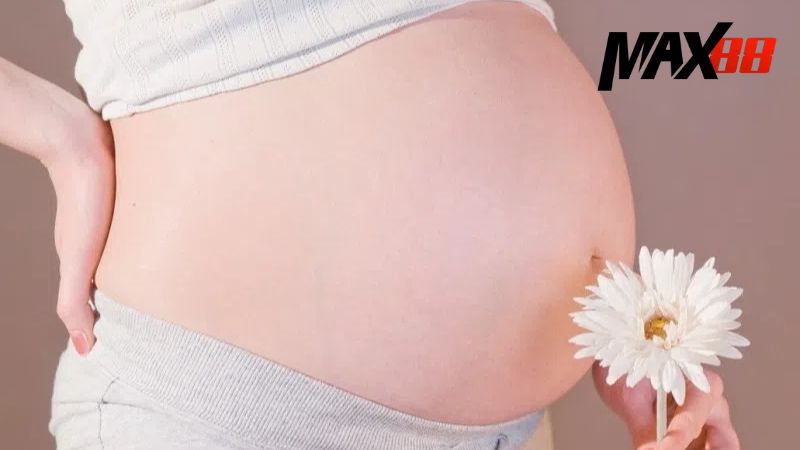 Giấc mơ có bầu là điềm lành hay dữ tuỳ thuộc vào từng tình huống cụ thể