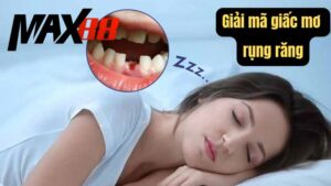Giải Mã Giấc Mơ Rụng Răng Chinh Phục Giấc Mơ Đổi Đời