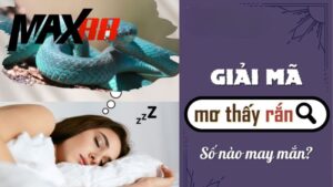 Bí Kíp Chốt Số Đỉnh Cao Từ Giải Mã Giấc Mơ Thấy Rắn