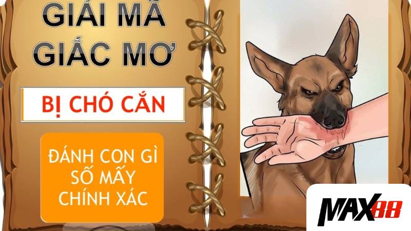 Giải mã giấc mơ bị con chó cắn vào chân và gợi ý con số may mắn