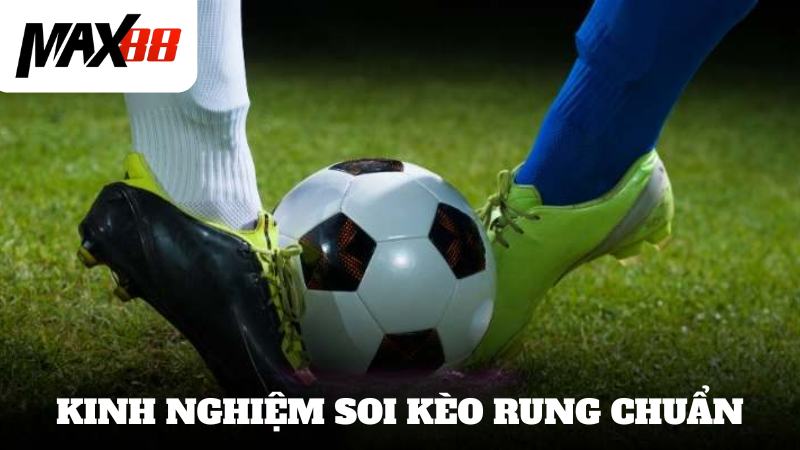 Kinh nghiệm xác định thời điểm thích hợp để soi kèo rung