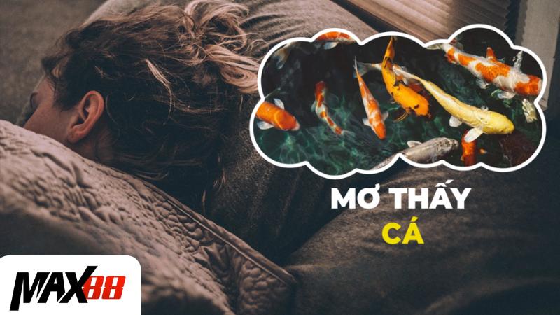 Ý nghĩa chiêm bao thấy cá chết